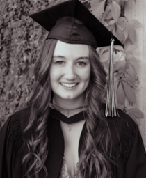 insert alternative text