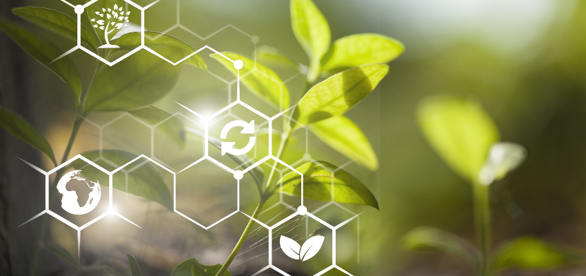 Kinross Chair in Environmental Governance