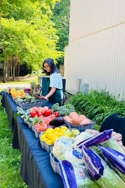 Ummay working behind a table of produce on a sunny day