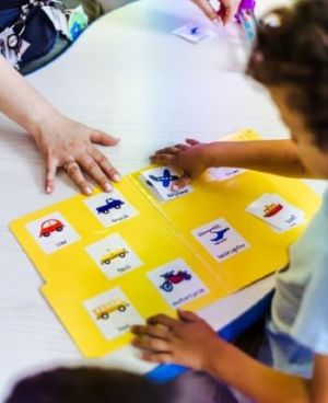 insert alternative text