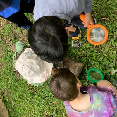 children examining a log with their magnify glasses
