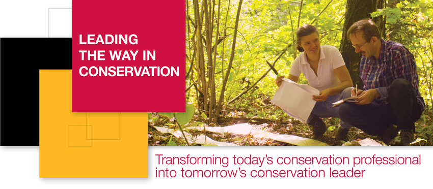 Leading the way in conservation