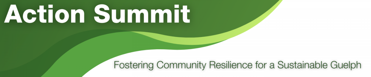 Action Summit. Fostering community resilience for a sustainable Guelph.