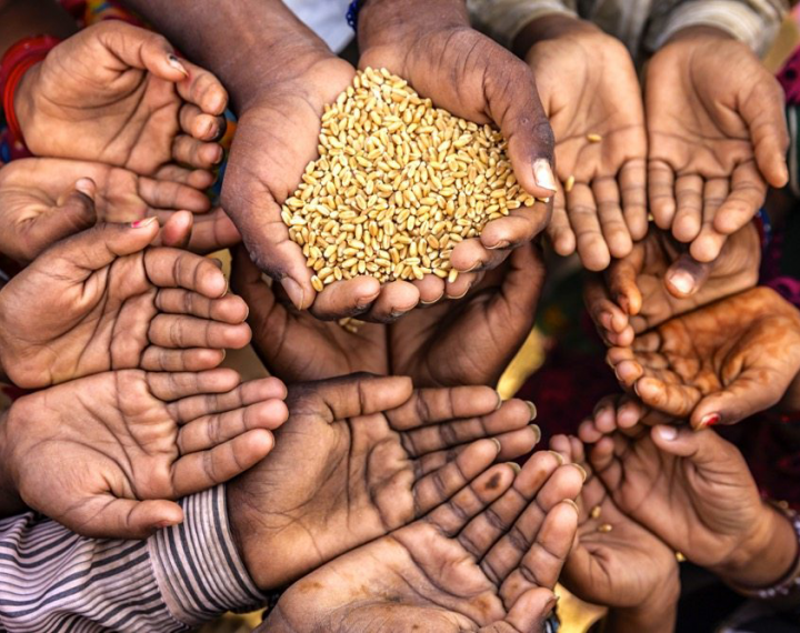 7 people gathered around another person with their hands out waiting to receive grain. Only the hands are shown.