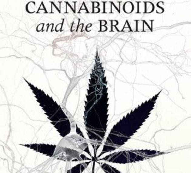 Cannabinoids and the brain, book cover with neurons and marijuana leaf. 