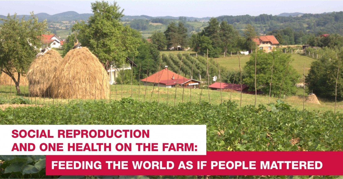 Social Reproduction and One Health on the Farm: Feeding the World as if People Mattered. Image of a farm.