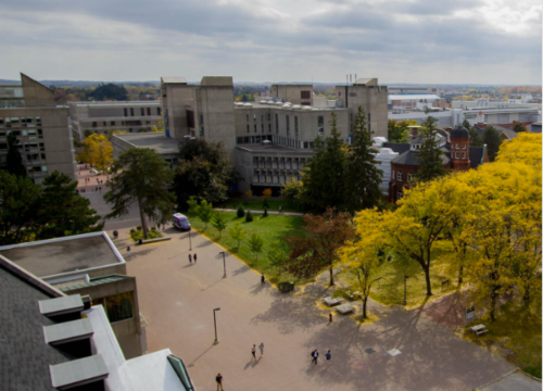 An aerial view of winegard walk in the fall.
